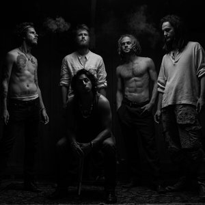 Cousin Avi 的头像