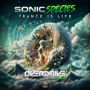 Trance Is Life (Overdrive Remix) - Single