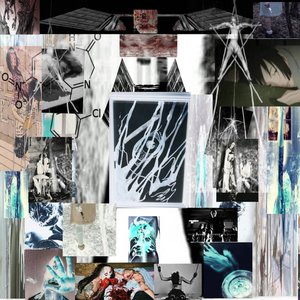 Fermented myth