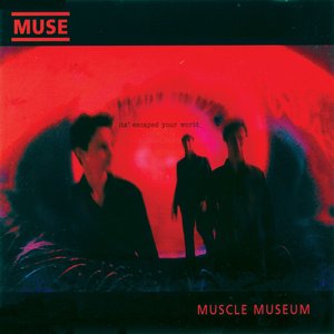 Imagem de 'Muscle Museum'