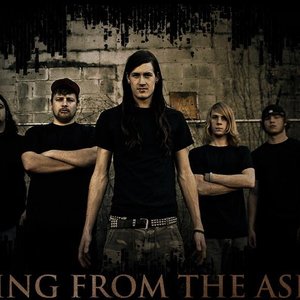 Rising From The Ashes 的头像