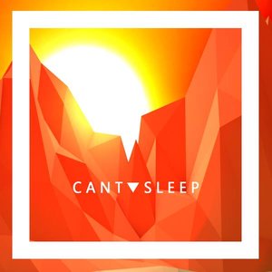 Can't Sleep (Vanic Remix) - Single