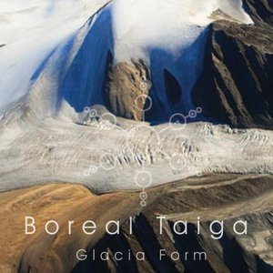 Glacia Form