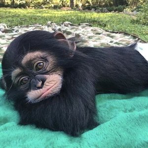 lukkxo 的头像
