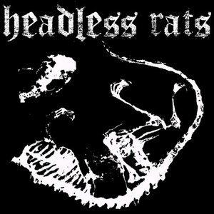 Headless Rats 的头像