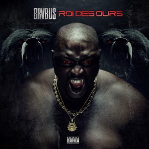 Roi des ours