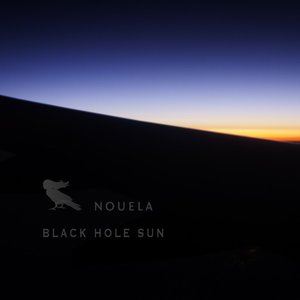 Black Hole Sun