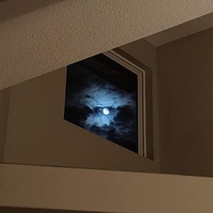 Short Story - Single