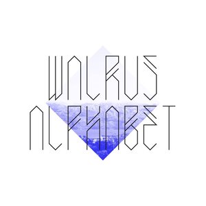 Walrus Alphabet 的头像