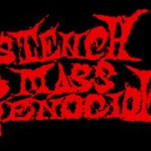 Stench Mass Genocide 的头像