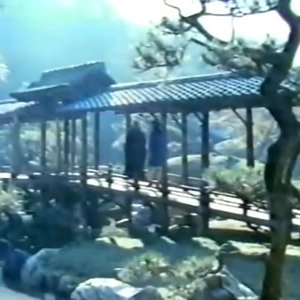 もつれた / 静けさ