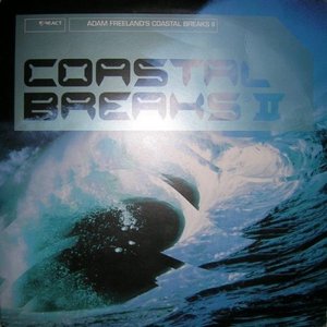 Coastal Breaks II