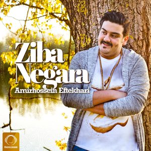 Ziba Negara