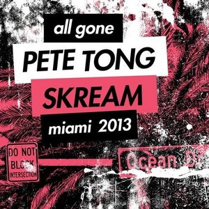 All Gone: Miami 2013