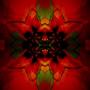 Ex Manifest