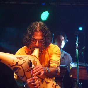 Mohsen Sharifian & the Lian Band 的头像