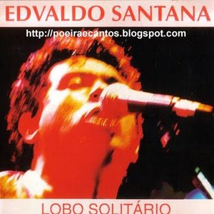 Lobo Solitário