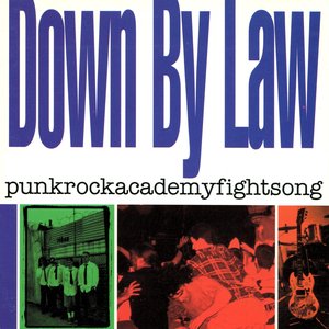 punkrockacademyfightsong [Explicit]