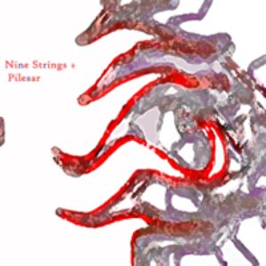 Bild für 'Nine Strings + Pilesar'