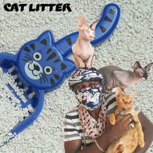 Cat Litter