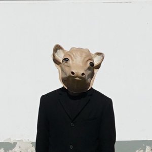 Avatar for Alan Strani