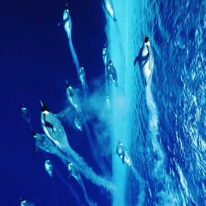 Flying Together - EP