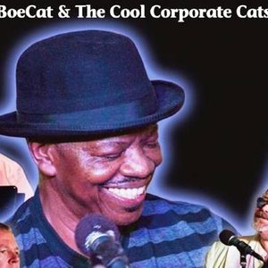 Boe Cat & Cool Corporate Cats 的头像