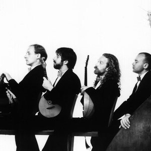 The Terem Quartet 的头像