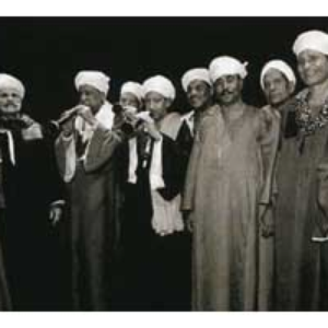 The Musicians of the Nile photo provided by Last.fm