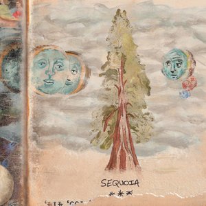 Sequoia
