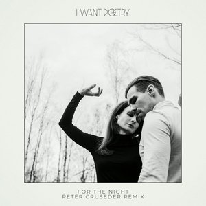 For The Night (Peter Cruseder Remix)