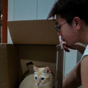 adijsosbsodn 的头像
