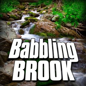 Babbling Brook (Nature Sound)