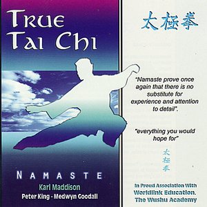 Image for 'True Tai Chi'