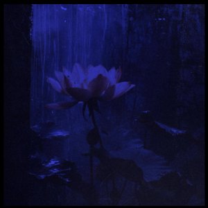 touch - Ambient Rework