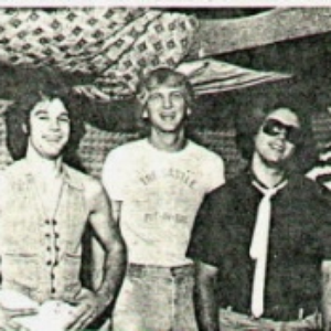 The Bizarros photo provided by Last.fm