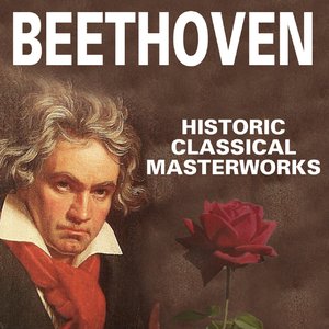 Die grossen Meister der Klassik (Ludwig van Beethoven)