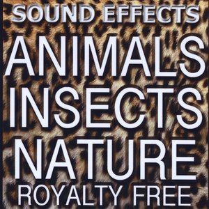 Animal Sound FX, Insects and Nature