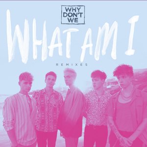 What Am I (Remixes)