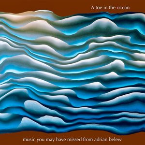 A Toe In The Ocean (Music You May Have Missed From Adrian Belew)