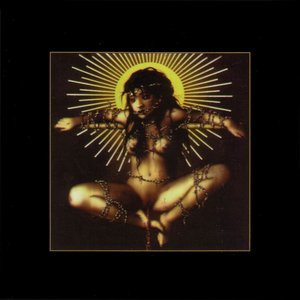 Perversion at All Costs cover