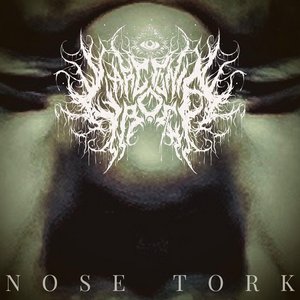 NOSE TORK