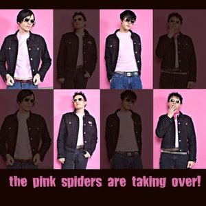 The Pink Spiders Are Taking Over!