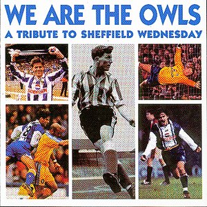 We Are The Owls