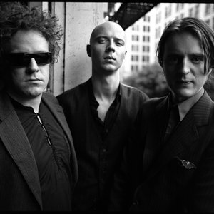 Avatar for Madrugada