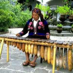 Image for 'marimbas'