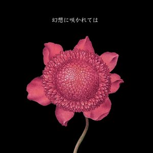 幻想に咲かれては
