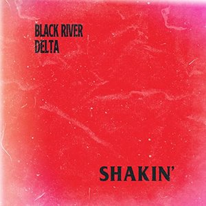 Shakin' - Single