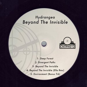 Beyond The Inviible