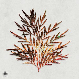 Lying Under Trees - EP